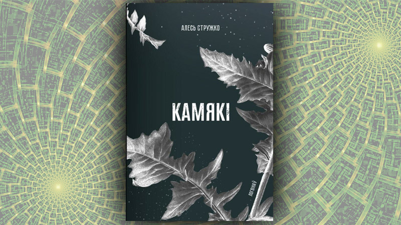 Камякі. Алесь Стружко